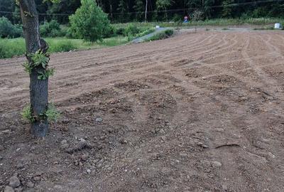 Spațiu comercial, în Biharia - 2