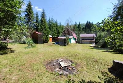 Casă cu 4 camere cu Teren 1050 Mp în Lunca - 3