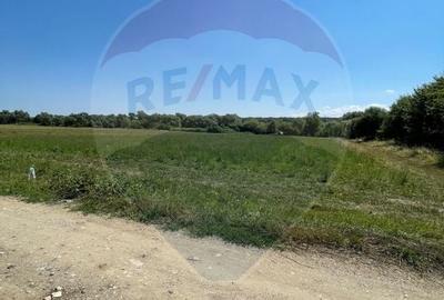TEREN  INTRAVILAN 5,000mp ORAS CISNADIE  STR.  SELIMBARULUI - 10