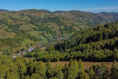 Comision 0% teren intravilan 1000 mp, PUZ, priveliste, Baisoara - 11