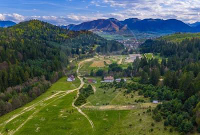 Teren Construcții intravilan de 10000 mp, în Brebina - 2