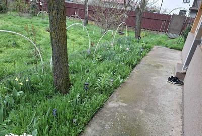 Casă cu 3 camere cu Teren 3000 Mp în Botoroaga - 5