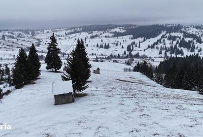 Teren de 25731 mp, în Breaza - 2