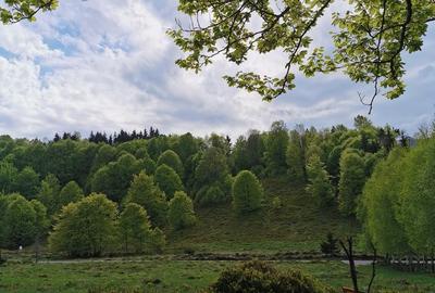 Teren de 6000 mp, în Exterior Vest - 5