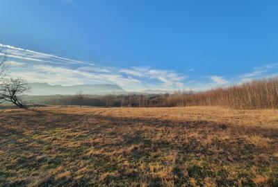 Teren Construcții intravilan de 1370 mp, în Bran - 5