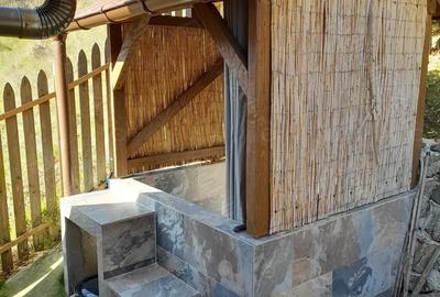 Casă cu 2 camere în Lăpuștești - 5