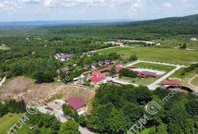 Teren intravilan 4100 mp in Avrig zona Valea Avrigului - 2