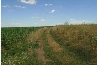 Teren extravilan Caldararu, ID: R2616308 - 14