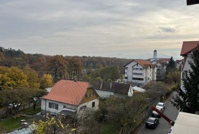 Inchiriez apartament langa parc, Valea Aurie - 8