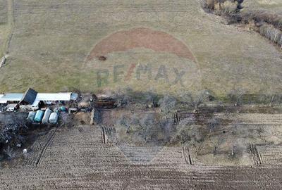 Teren 2925 mp comuna Mitocu Dragomirnei - 5