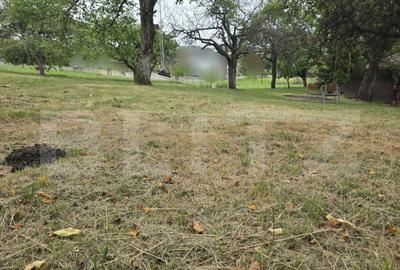 Teren intravilan cu PUZ aprobat, 845 mp, in Faget LOT nr 4 - 2