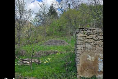 Teren de 3000 mp, în Certeju de Sus - 9