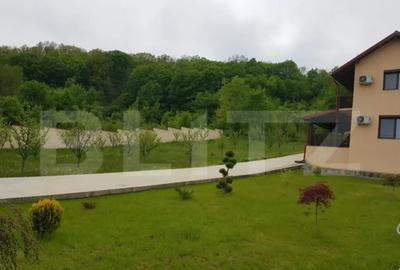 Casă cu 7 camere cu Teren 3173 Mp în Central