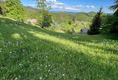 Teren de 4000 mp, în Gârda de Sus - 4
