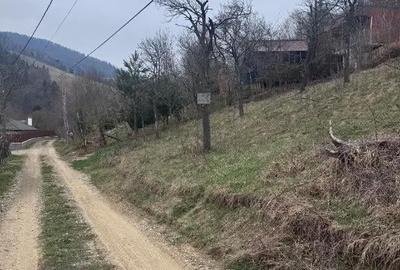 Teren de 6000 mp, în Alexandru cel Bun - 1