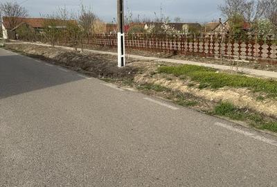 Teren de 1658 mp, în Iecea Mare - 2