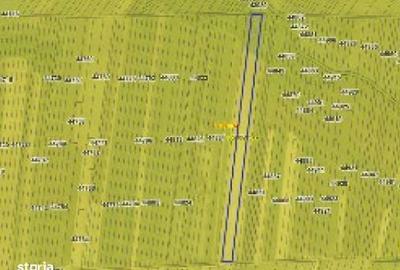 Spațiu comercial, în Central - 3