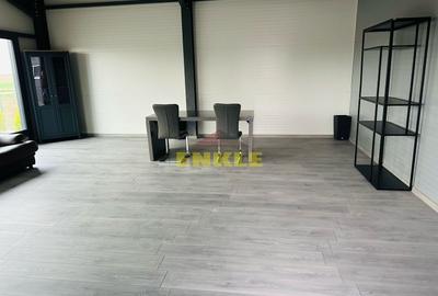 Spațiu industrial, de 580 mp, în Mănăstirea Doamnei - 2