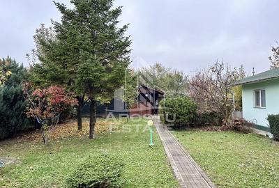 Casă cu 4 camere cu Teren 746 Mp în Brâncoveanu - 7