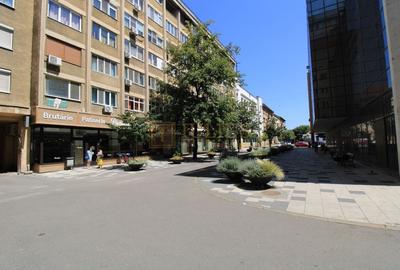 Piata Victoriei, 3 camere, pet-friendly - 18