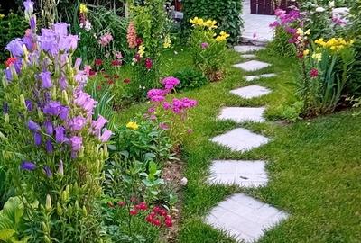 Casă cu 3 camere cu Teren 508 Mp în Tei - 1