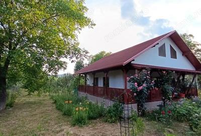 Casă cu 3 camere cu Teren 1544 Mp în Brebu - 2