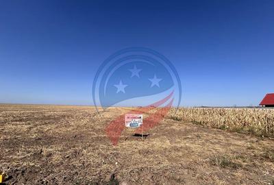 Teren de 5041 mp, în Pielești - 2