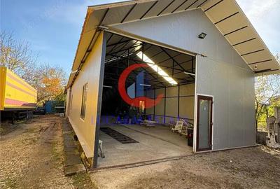 De inchiriat hala zona Mehala - 1