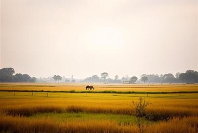 Teren industrial 4800 mp / DN1B  Zona showroom-uri auto / Deschidere 19 m - 14