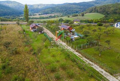 Teren Investitie- 1730 mp-Cabana construita 60 mp - 13