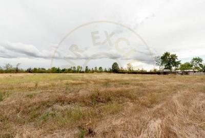 Teren de 3000 mp, în Oarja - 3