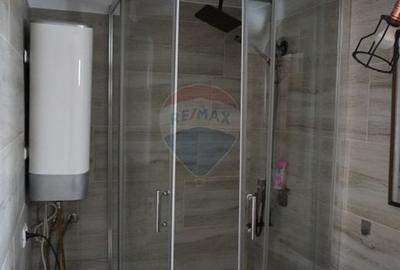 Casă individuală cu 5 camere cu Canalizare în Moisei - 42