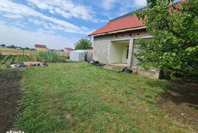 Casă cu 1 camere în Vladimirescu - 10