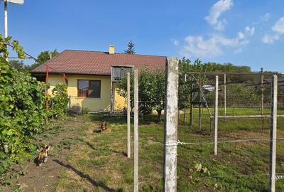 Casa caramida in Costesti - 2