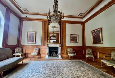 Vila superba Parcul Ioanid Vila superba Parcul Ioanid - 3