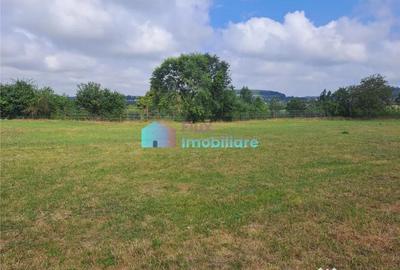 Teren de 990 mp, în Burdujeni - 4
