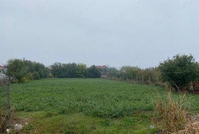 Casă cu Teren 1900 Mp în Peretu - 6