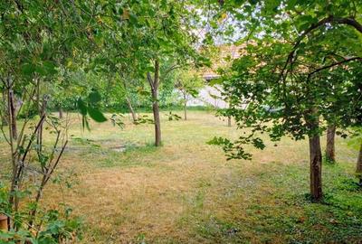 Casă cu 4 camere cu Teren 1173 Mp în Variaș - 7