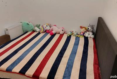 Apartament cu 2 camere semidecomandat în Take Ionescu - 6