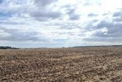 Teren de 2500 mp, în Brănești - 3