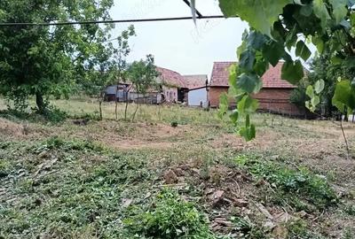 Casă cu 2 camere cu Teren 2100 Mp în Roșia de Secaș - 3