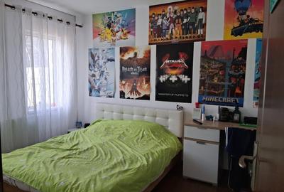 Sanmihaiul Roman - Casa individuala cu 3 dormitoare, complet mobilata si utilata - 13