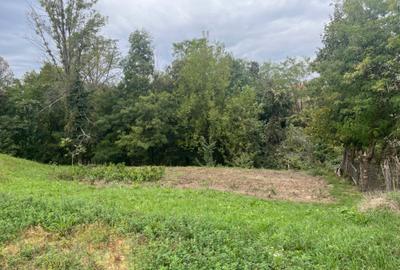 Spațiu comercial, în Almaș - 6