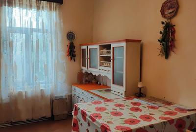 Casa din vaiuga cu toate utilitatile teren 798mp - comision 0% Casa din vaiuga cu toate utilitatile teren 798mp - comision 0% - 2