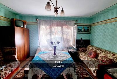 Casă cu 3 camere cu Teren 2460 Mp în Borlești - 11