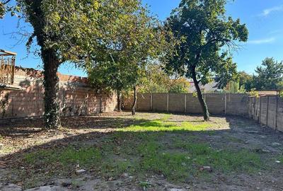 De vanzare casa nemteasca, demisol+parter, zona Balcescu - 8