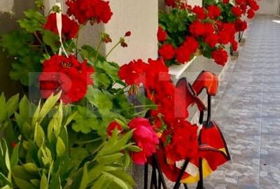 Apartament cu 2 camere cu curte, 90mp, zona Turda Noua - 13
