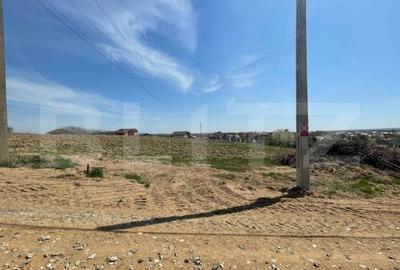 Teren de 555 mp, în Malu Mare - 4