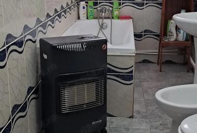 Casă cu Teren 960 Mp în Broșteni - 1