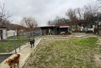 Teren Construcții intravilan de 707 mp, în Central - 1
